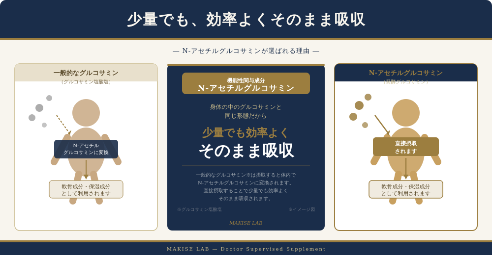 N-アセチルグルコサミン — 少量でも効率よくそのまま吸収