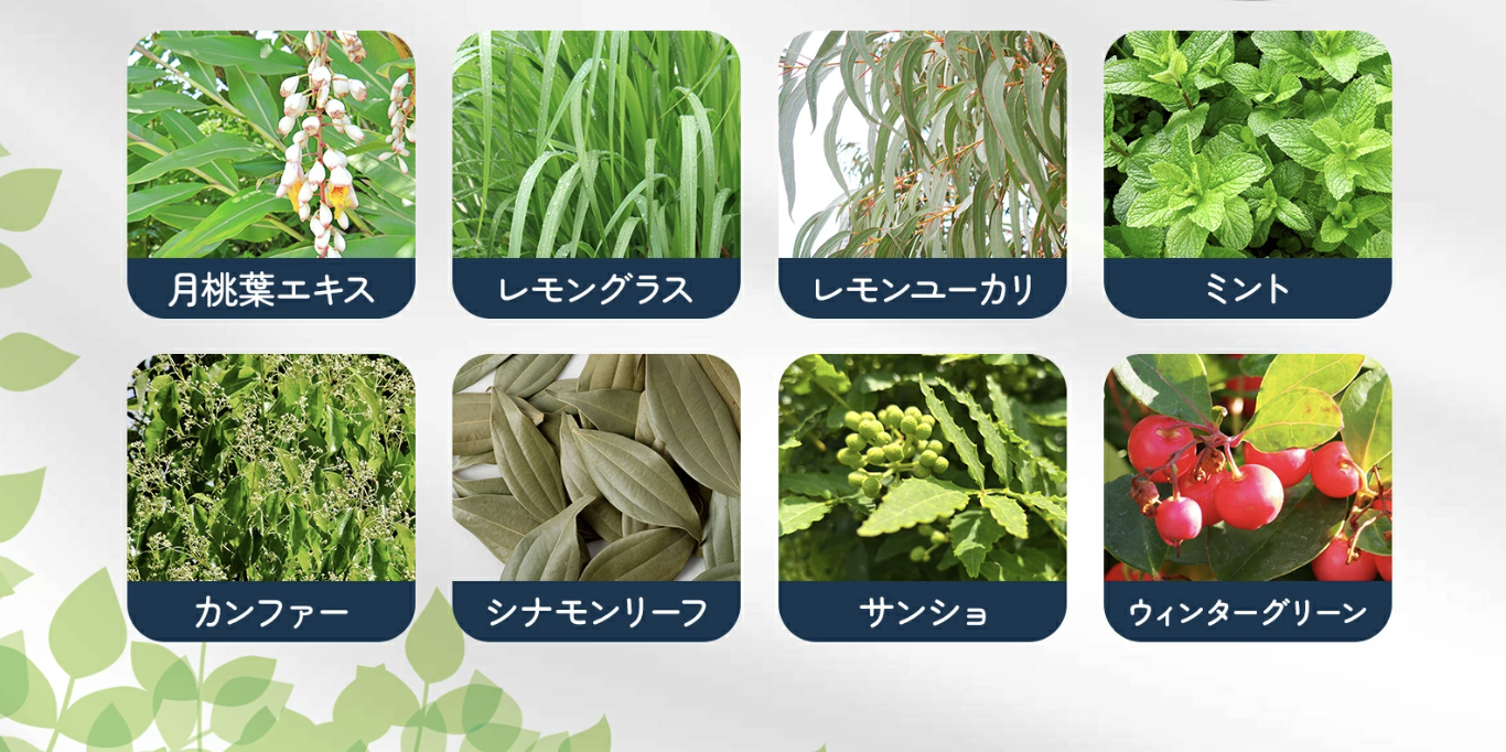 8つの精油の植物