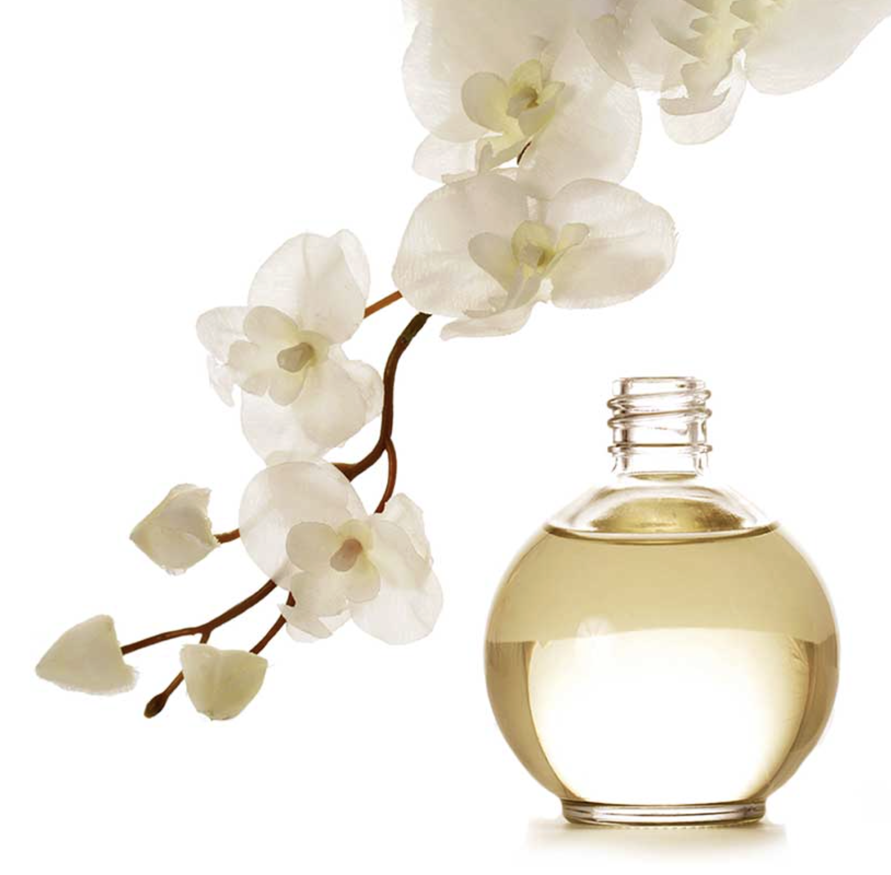 P-I Lotion 使用イメージ