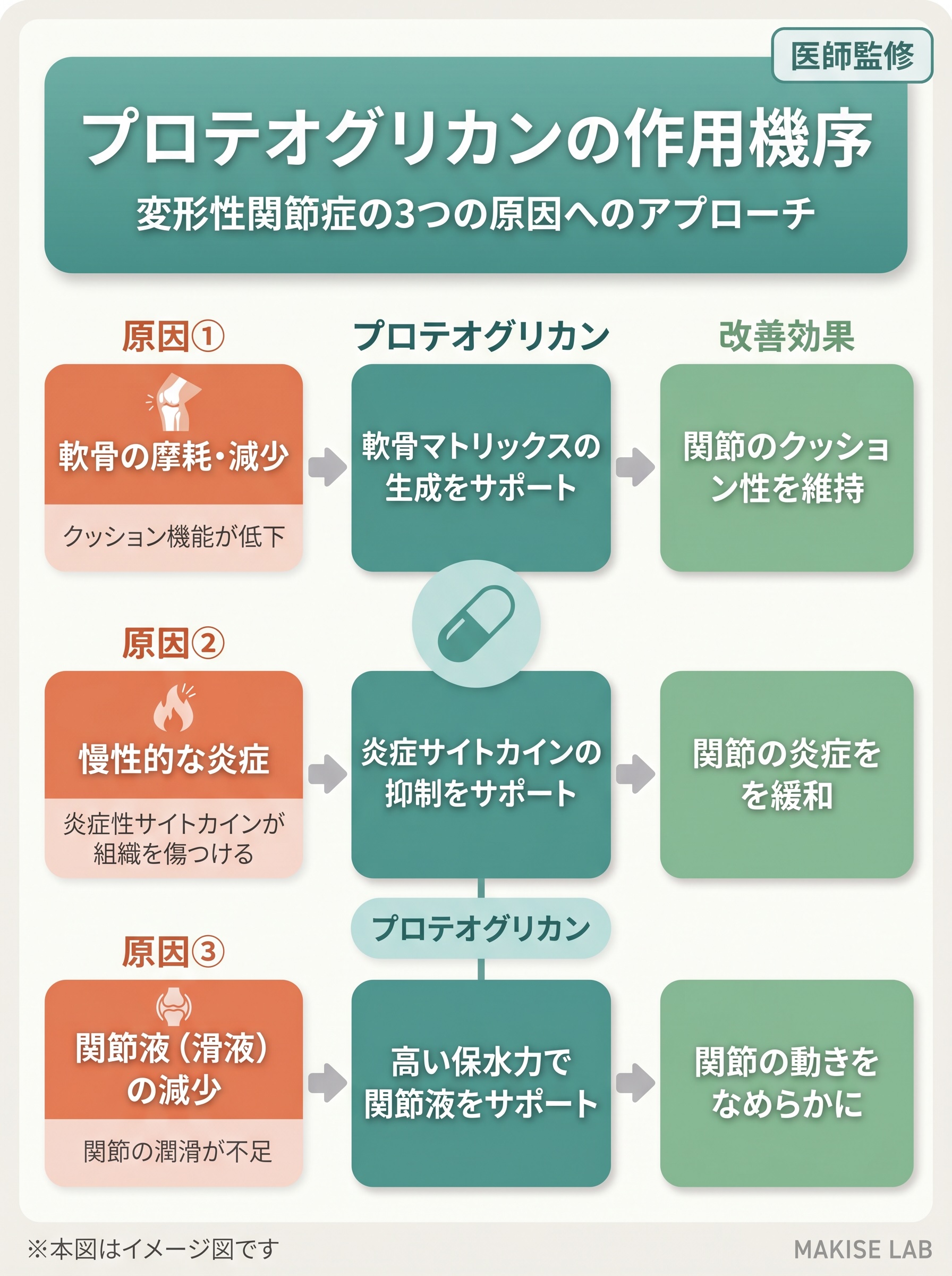 プロテオグリカンの作用機序