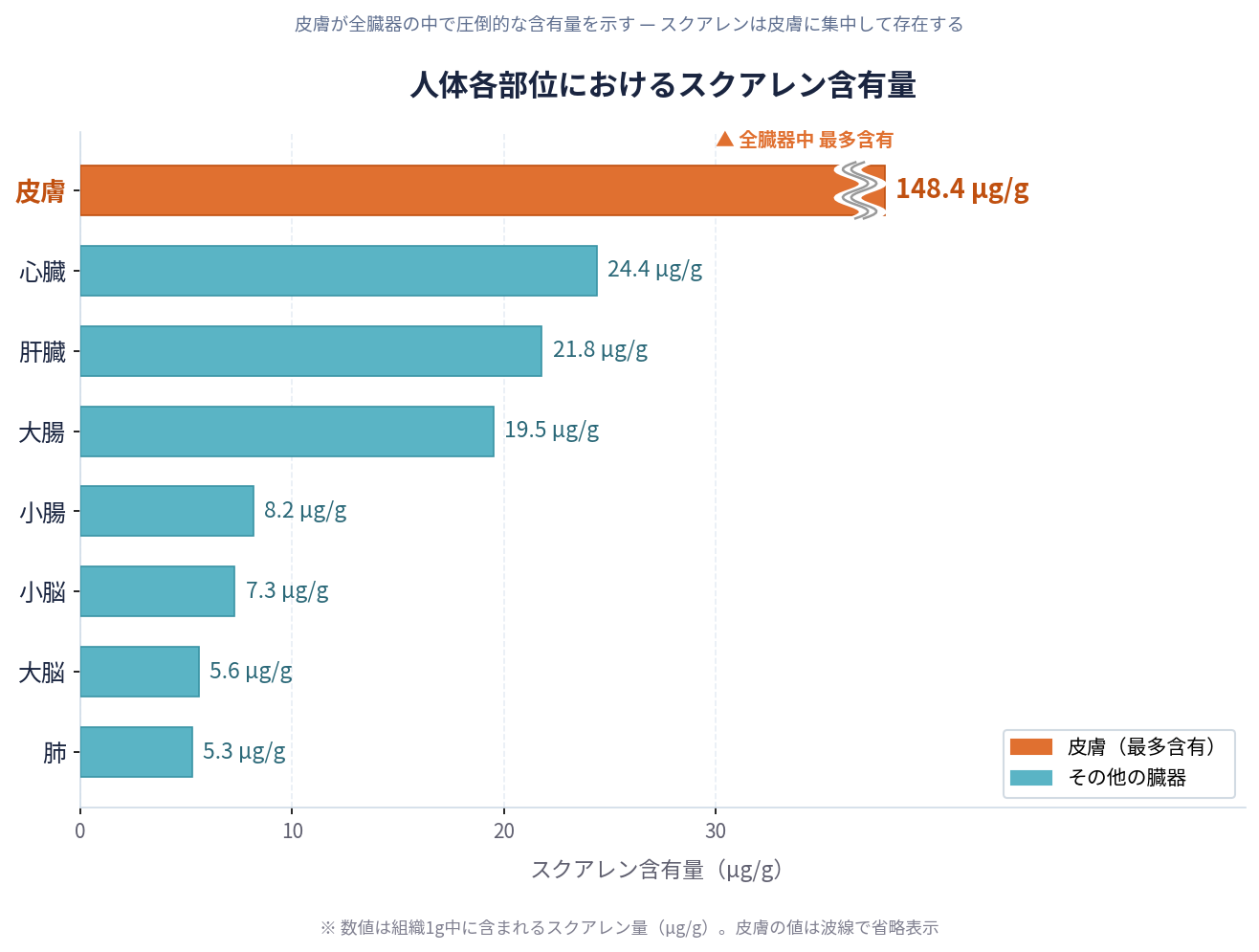 スクワレン研究