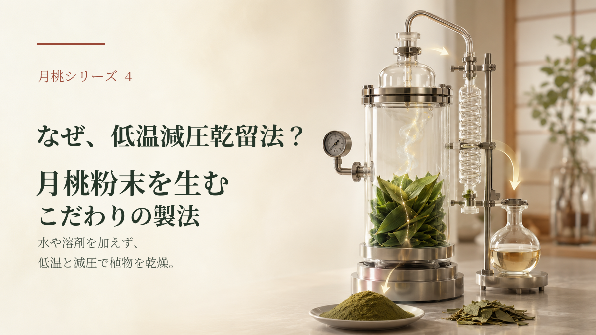 なぜ、低温減圧乾留法？