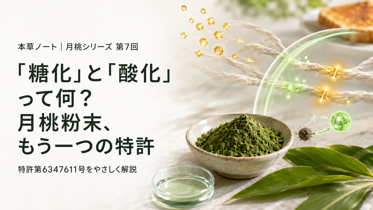 「糖化」と「酸化」って何？